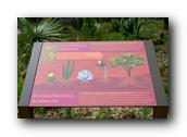 SDBotanic093030526.jpg
