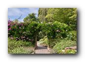 SDBotanic095030526.jpg