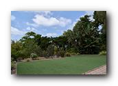 SDBotanic097030526.jpg