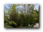 SDBotanic103030526.jpg