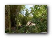 SDBotanic107030526.jpg