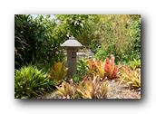 SDBotanic110030526.jpg