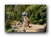 SDBotanic111030526.jpg