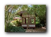 SDBotanic122030526.jpg