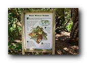SDBotanic128030526.jpg