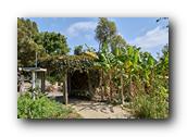 SDBotanic132030526.jpg