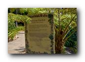 SDBotanic134030526.jpg