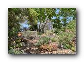 SDBotanic136030526.jpg