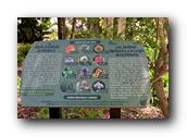 SDBotanic138030526.jpg