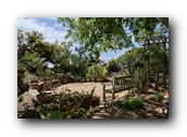 SDBotanic139030526.jpg
