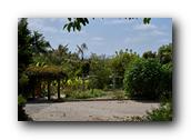 SDBotanic140030526.jpg