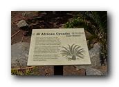 SDBotanic141030526.jpg