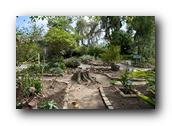 SDBotanic143030526.jpg