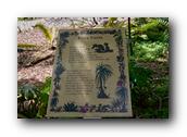 SDBotanic144030526.jpg