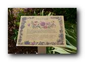 SDBotanic149030526.jpg