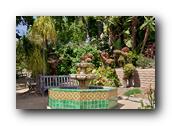 SDBotanic152030526.jpg