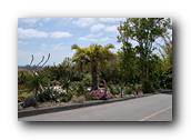 SDBotanic153030526.jpg