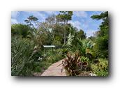 SDBotanic158030526.jpg