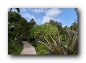 SDBotanic159030526.jpg