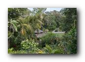 SDBotanic161030526.jpg