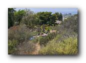 SDBotanic166030526.jpg