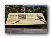 SDBotanic169030526.jpg