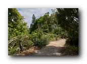 SDBotanic176030526.jpg