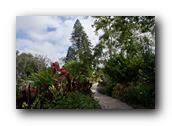 SDBotanic178030526.jpg