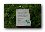 SDBotanic181030526.jpg