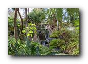 SDBotanic182030526.jpg