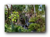 SDBotanic183030526.jpg