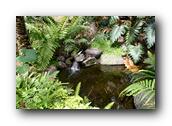 SDBotanic187030526.jpg