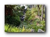 SDBotanic188030526.jpg