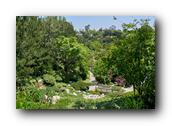 SDJapaneseGarden001030526.jpg