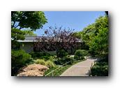 SDJapaneseGarden006030526.jpg