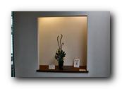 SDJapaneseGarden011030526.jpg