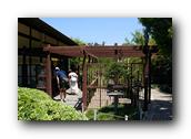SDJapaneseGarden039030526.jpg