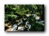 SDJapaneseGarden049030526.jpg