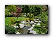 SDJapaneseGarden055030526.jpg