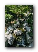 SDJapaneseGarden057030526.jpg