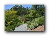 SDJapaneseGarden059030526.jpg