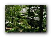 SDJapaneseGarden066030526.jpg