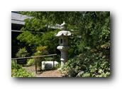 SDJapaneseGarden071030526.jpg
