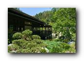 SDJapaneseGarden073030526.jpg