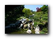 SDJapaneseGarden075030526.jpg
