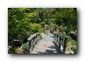 SDJapaneseGarden081030526.jpg