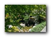 SDJapaneseGarden082030526.jpg