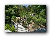 SDJapaneseGarden083030526.jpg