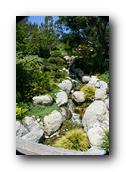 SDJapaneseGarden086030526.jpg