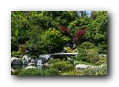 SDJapaneseGarden087030526.jpg